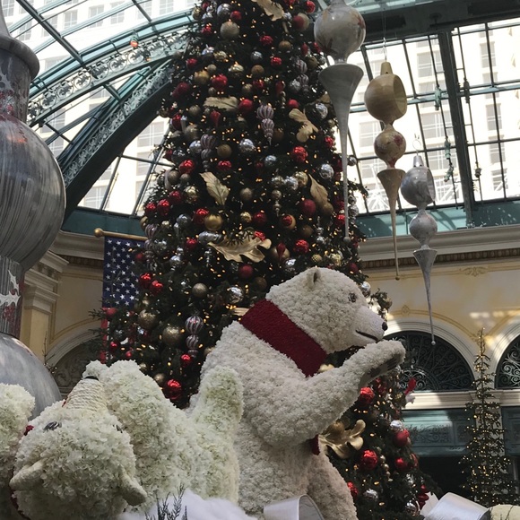 Meet your Posher, Eric - Picture 1 of 1